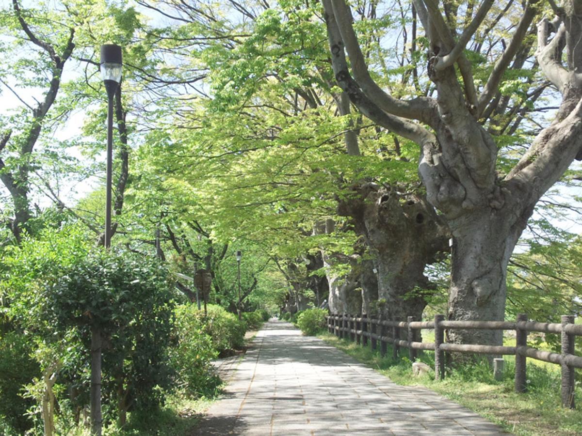 Business Hotel Serikawa Hikone Exterior foto